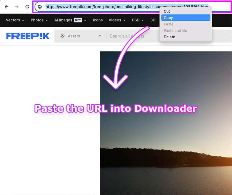 Freepik Image Download Tutorial